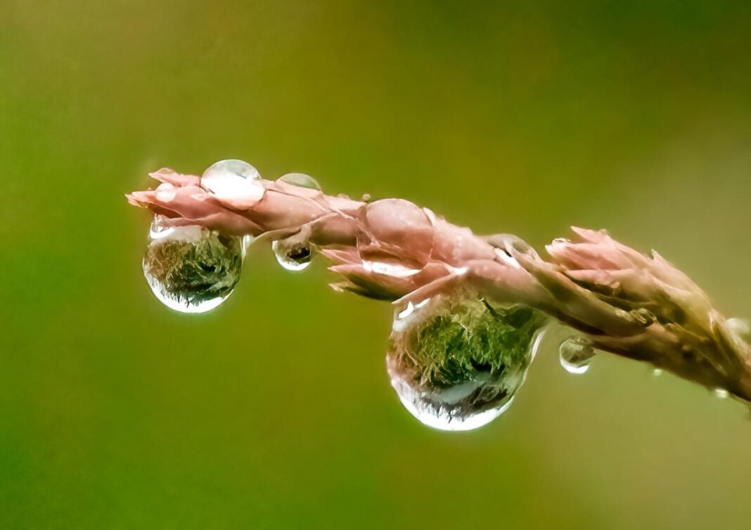 Why Do My Eyes Change Color? Exploring the Science Behind Eye Color Changes