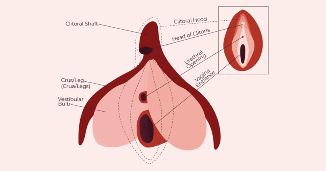 Discovering Your G-Spot: A Guide for Women