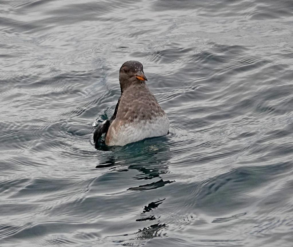 10 Interesting Washington State Facts You Need to Know