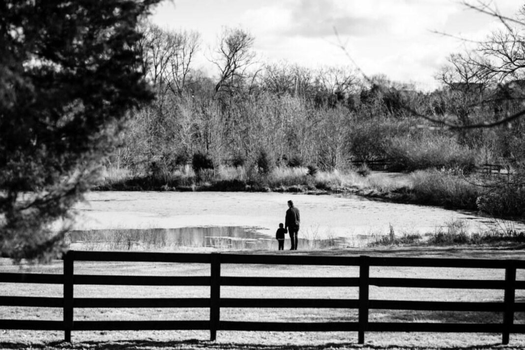 Discovering the Essential Tennessee Facts