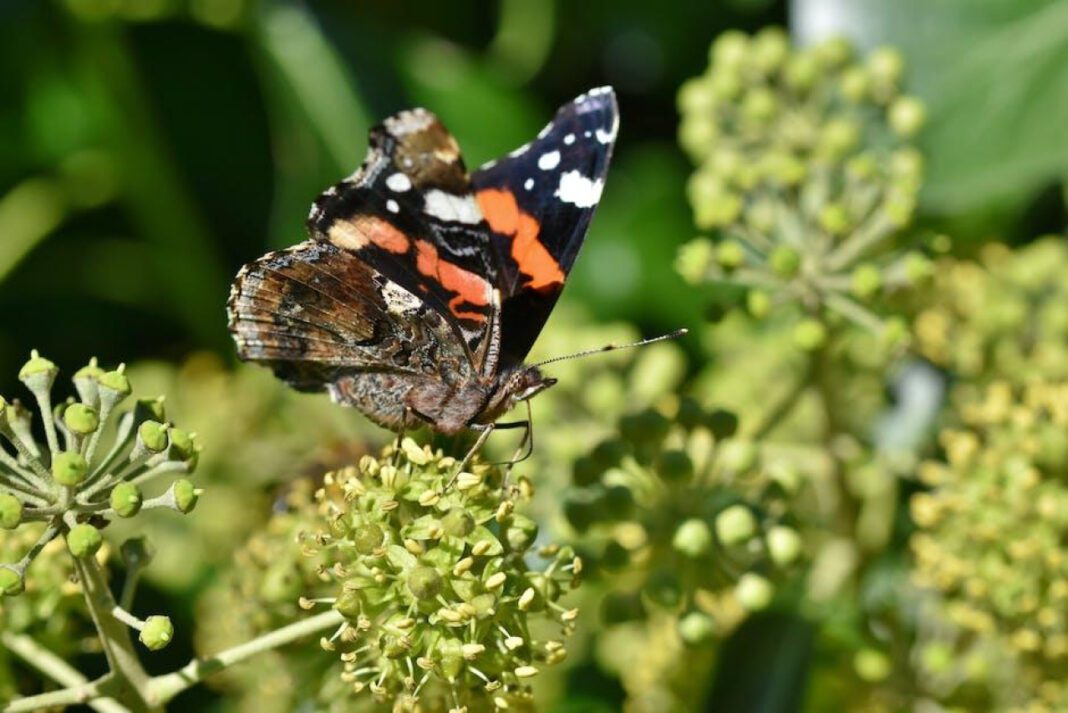 Exploring the Life and Career of Vanessa Rodriguez