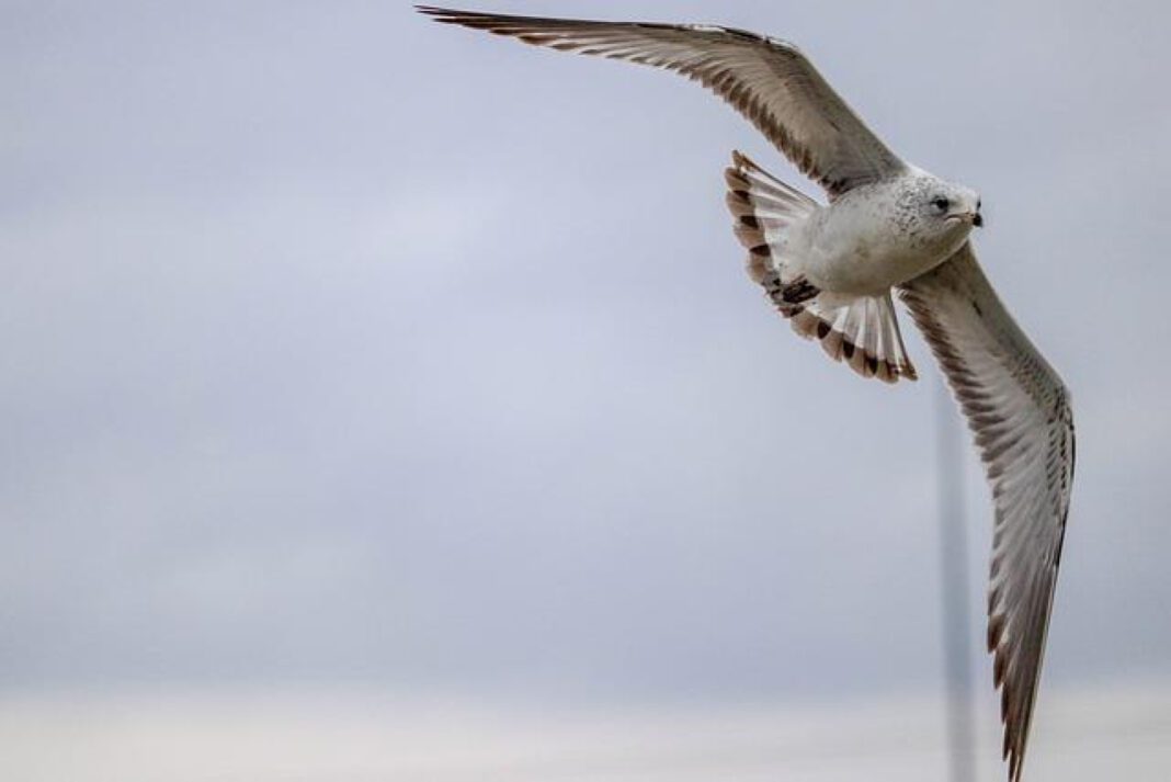 Top Dayton Gastroenterologists for Digestive Care