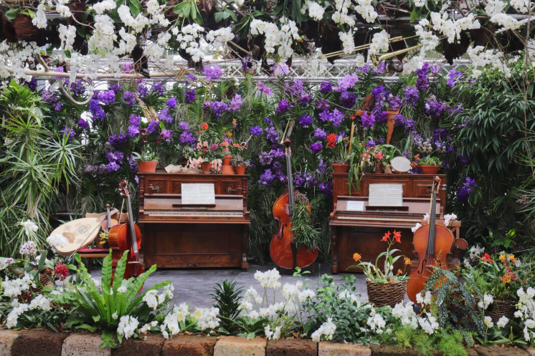 Cedar Park Pediatrics & Family Medicine Experts