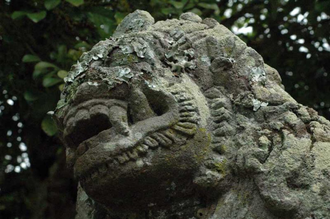 Meet Rebecca Marshall: Rising Star on the Rise