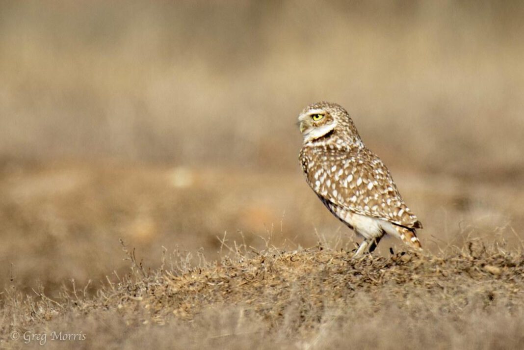 Discover Wichita’s Top Little Clinic for Quality Care