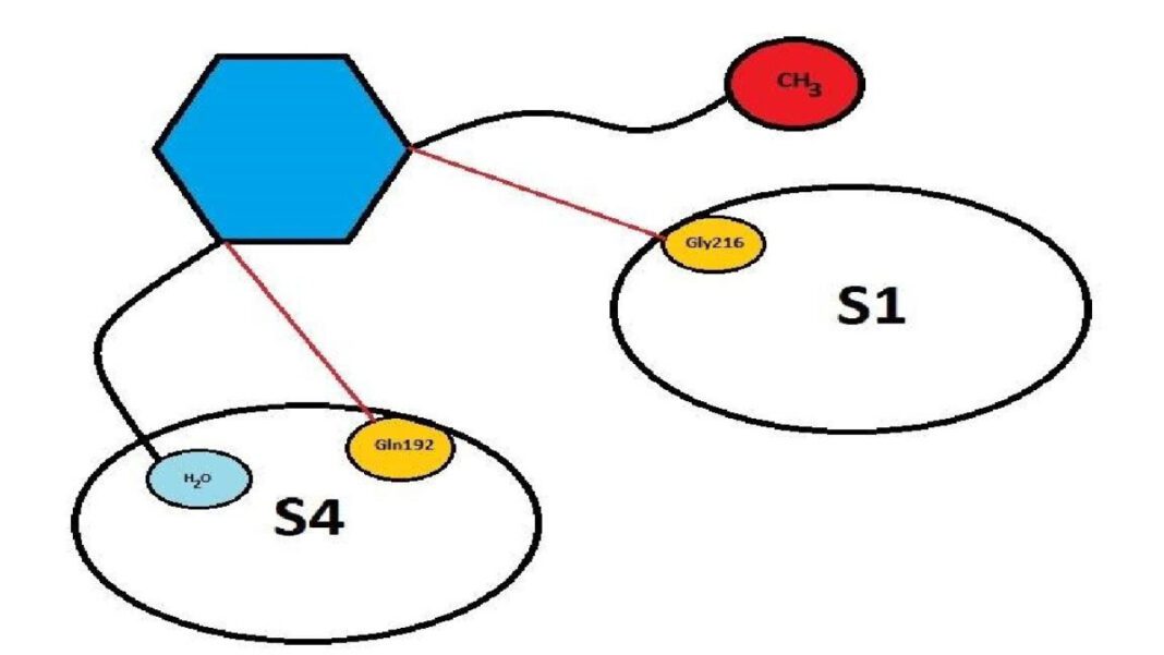 Eliquis Cost: What You Need to Know in 2021