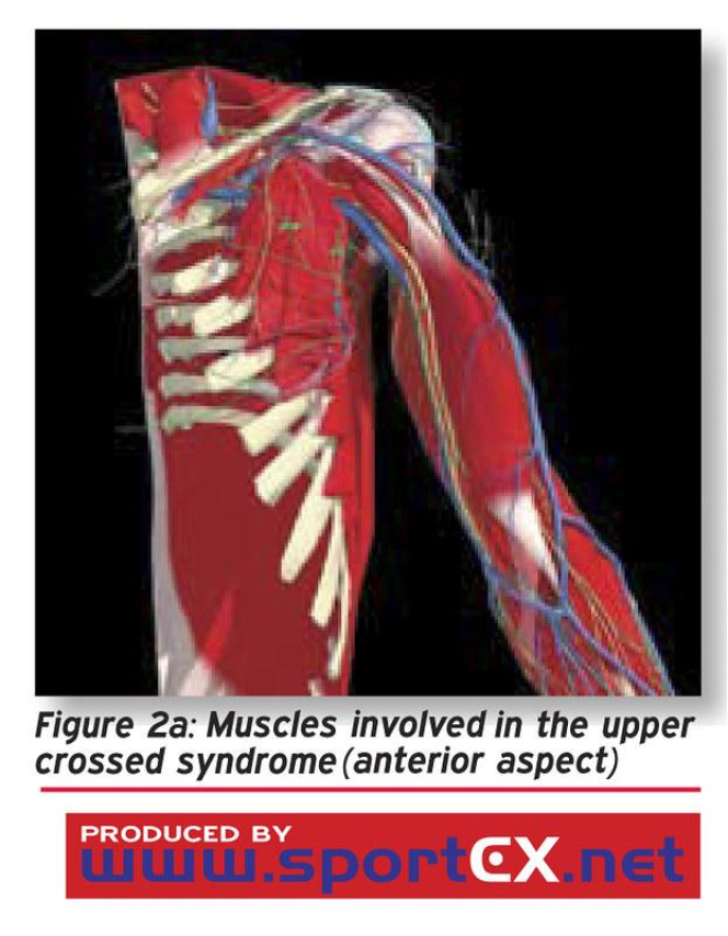 Causes and Relief for Right Rib Pain Discomfort