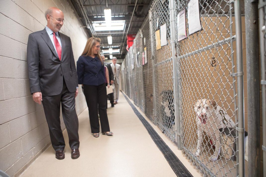 Kalamazoo Humane Society: Compassion in Action