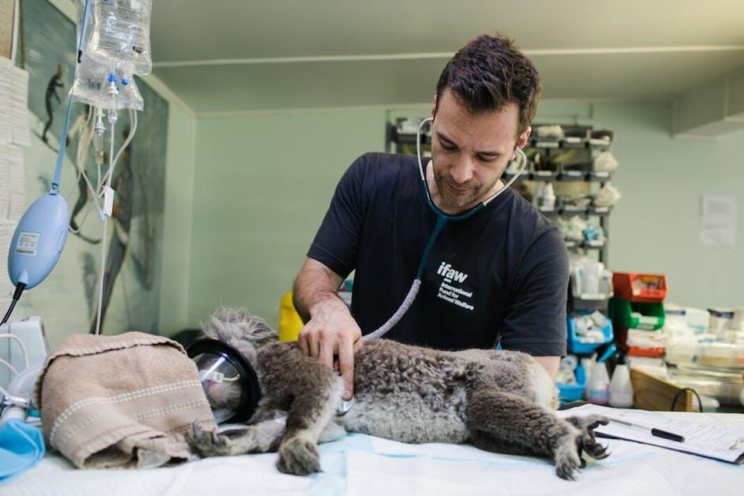 Saving Hope: Where Animal Rescue Dreams Come True