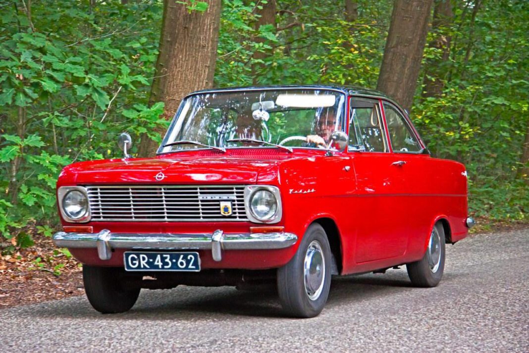 Elite Dawgs: Unleashing the Top Dogs in Town