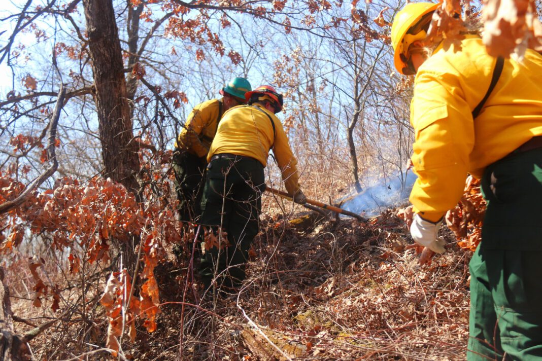 Understanding the Benefits of ITNs for Preventing Malaria