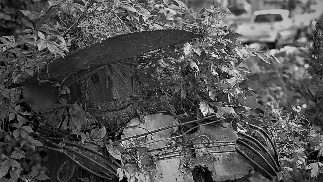 Understanding the Missouri Abortion Fund: What You Need to Know