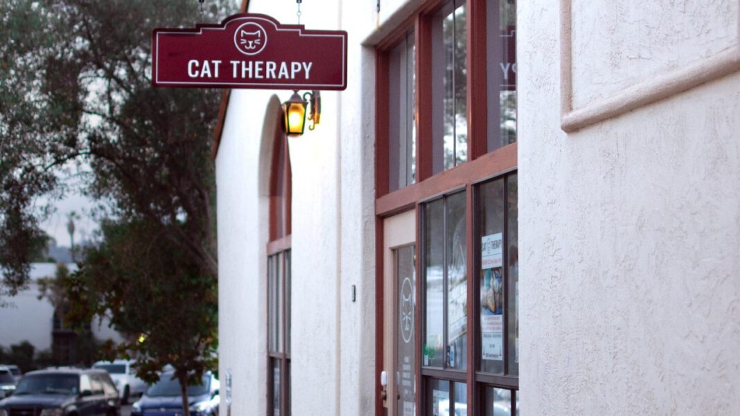 Exploring the Santa Barbara Cemetery: A Peaceful Oasis