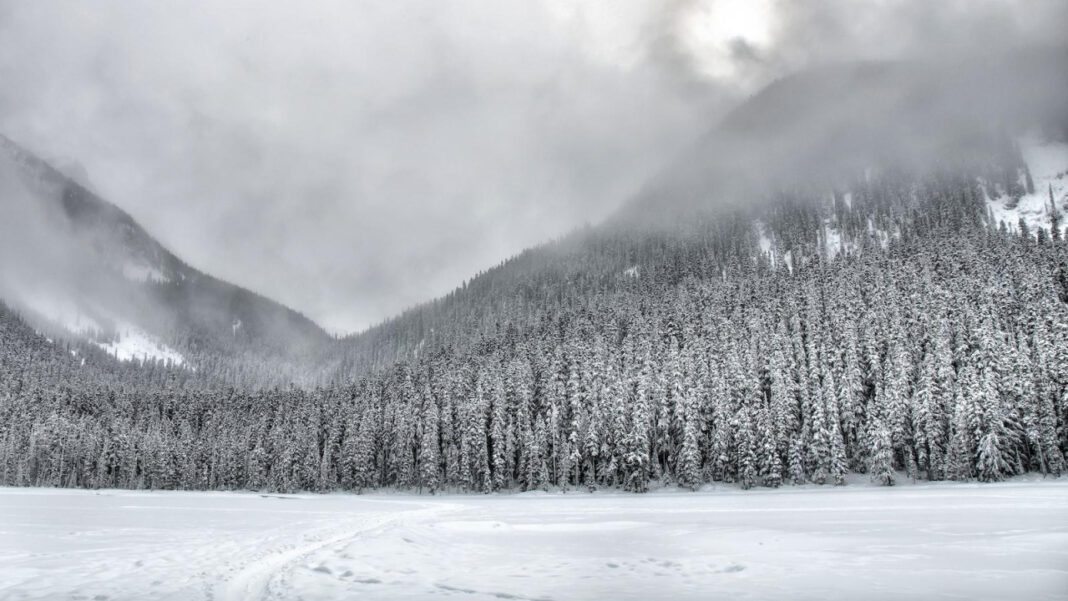 Idyllwild Pines Camp: A Nature Lover’s Paradise