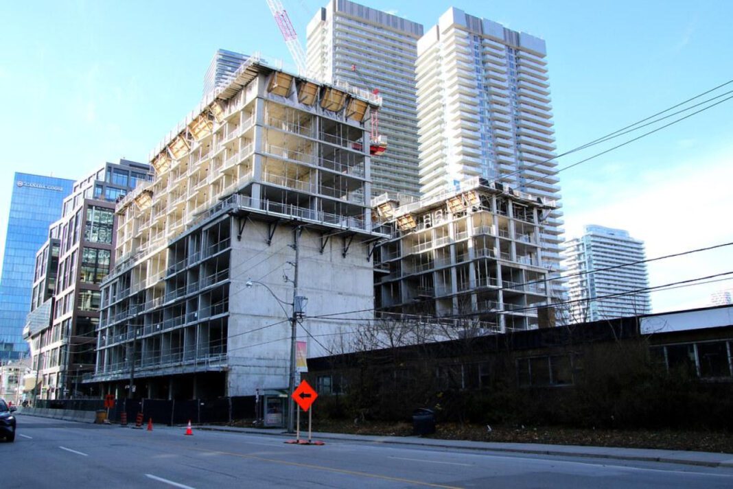 Exploring the Services Offered by Queens Community House