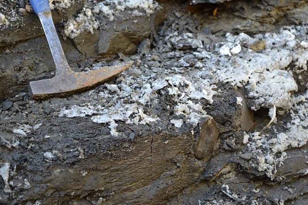 Uncovering the Other 98: What You Need to Know