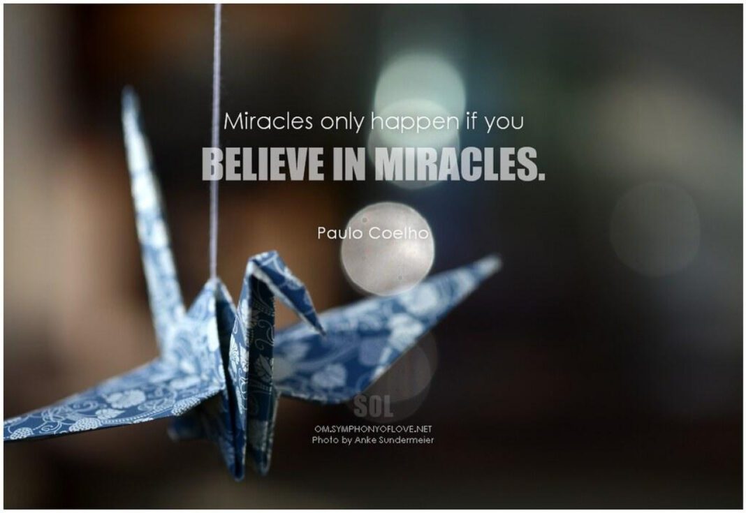 Mini Miracles: Uncovering Life’s Small Wonders