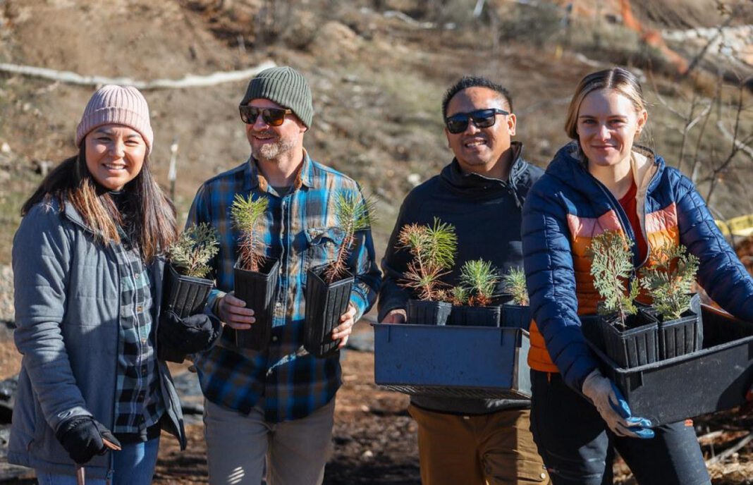 Berkeley Tuolumne Camp: A Family Getaway Gem