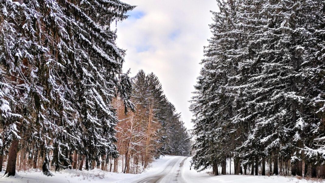 Maximize Your Benefits with Ohio Teamsters CU