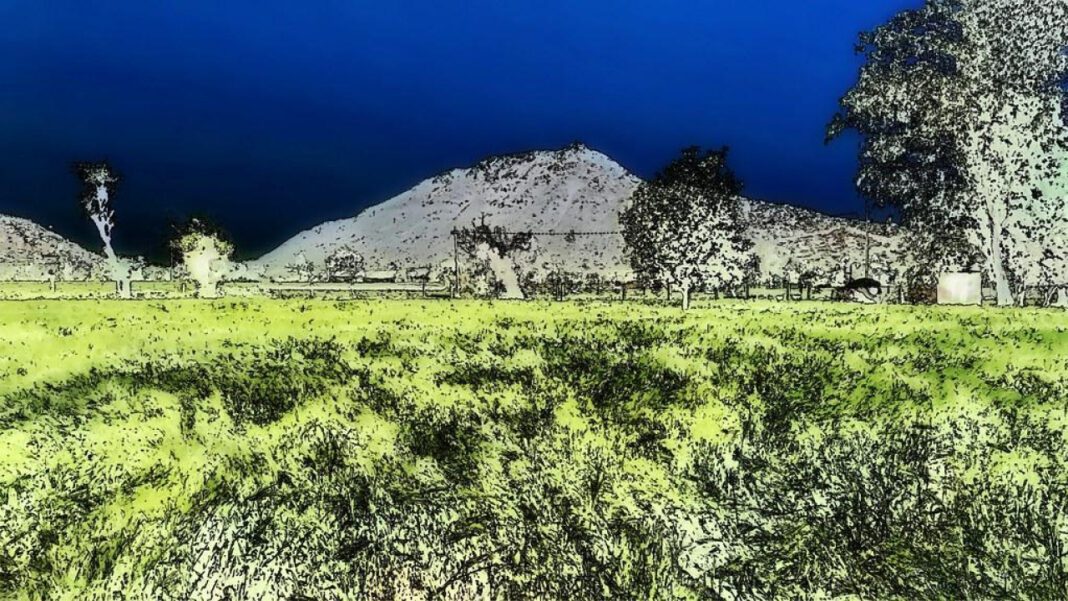 United Help Ukraine: Joining Forces for Change