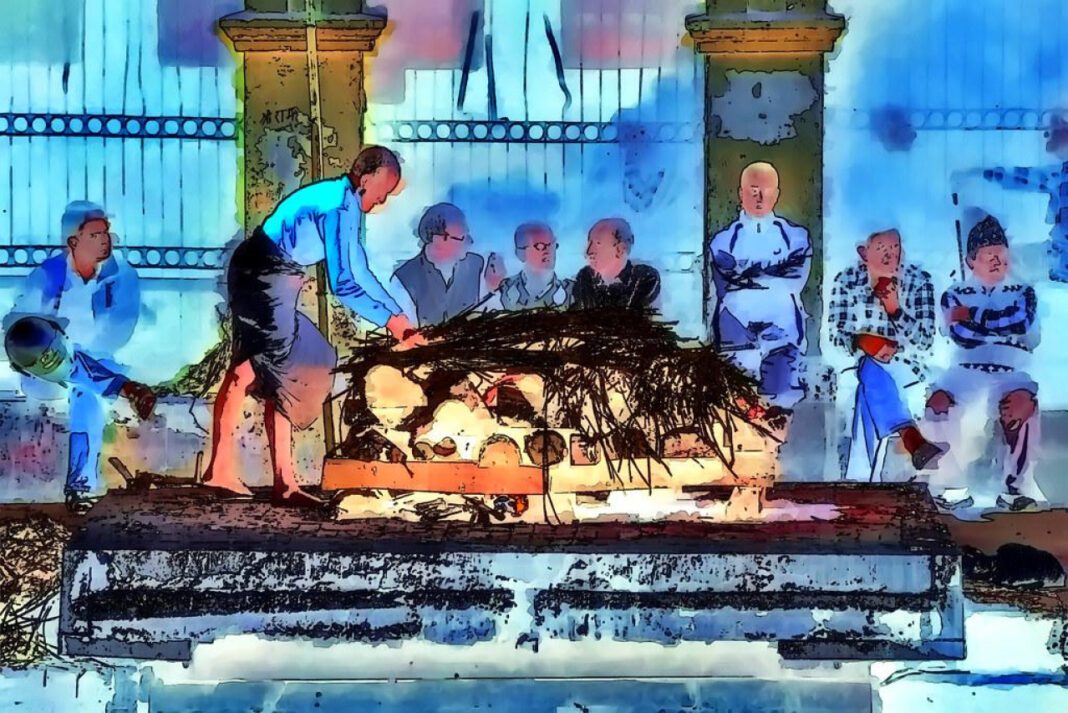 Adopt a Furry Friend: Humane Society of Sarasota County