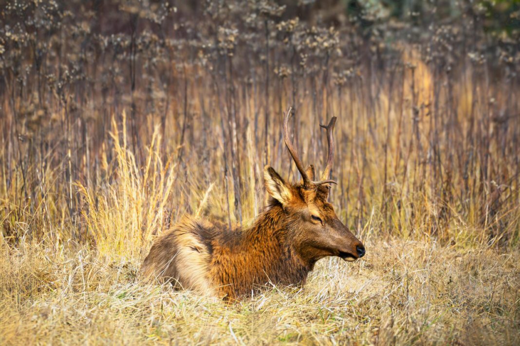 Improving Rural Health in the Northeastern US