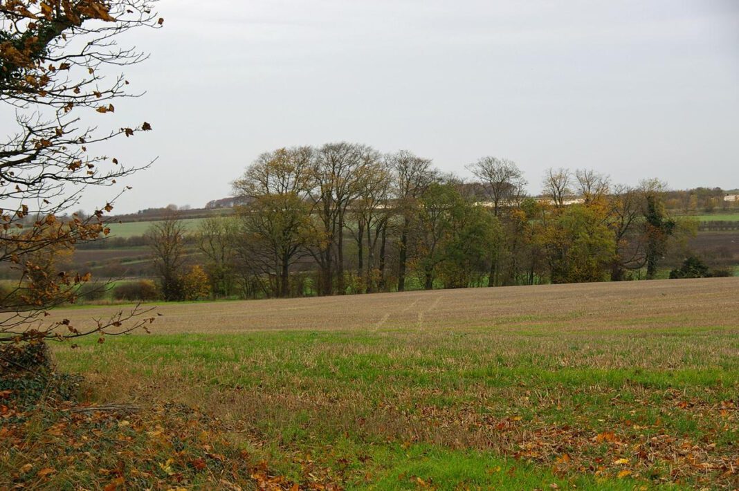 Stonecroft: An In-Depth Look at its History and Charm