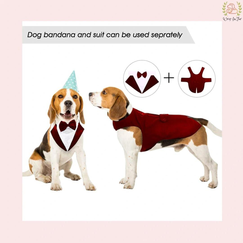 Exploring the Characteristics and Role of Retrievers