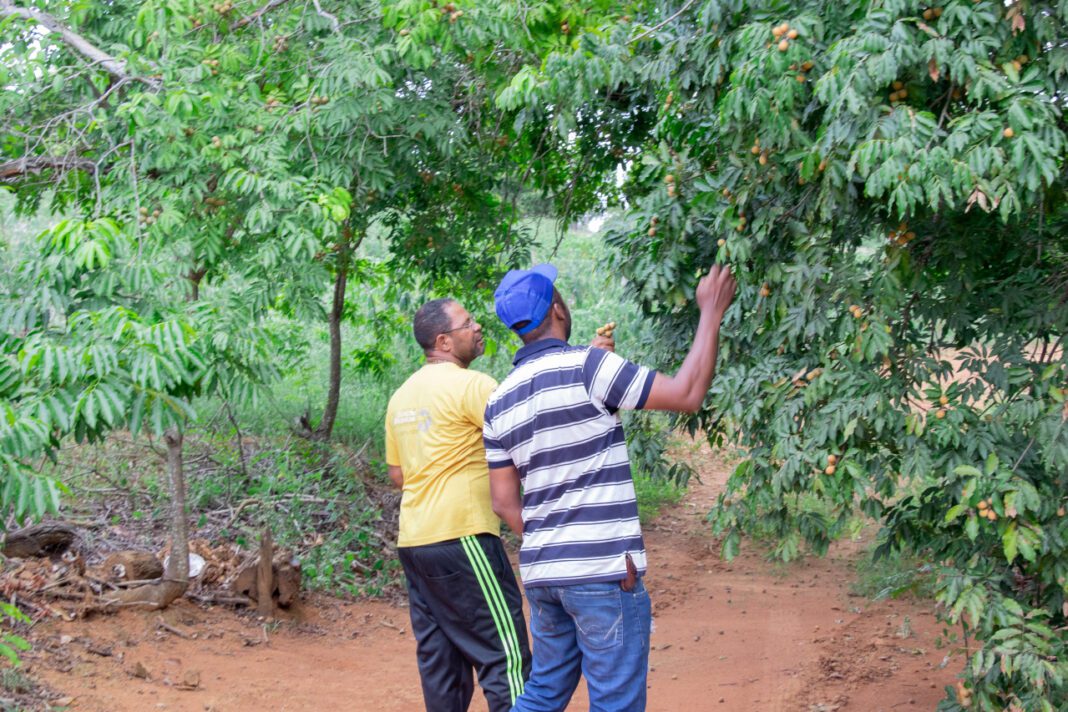 Local 54: A Comprehensive Guide to Its History and Impact