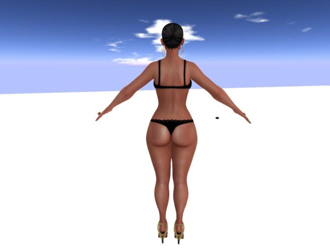 Sparrow’s Nest: The Art of Avian Architecture