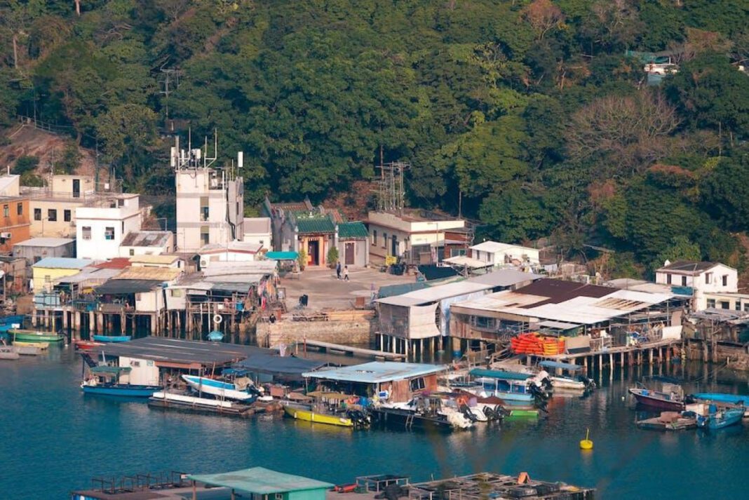 Denver Harbor Clinic: Your Gateway to Quality Healthcare