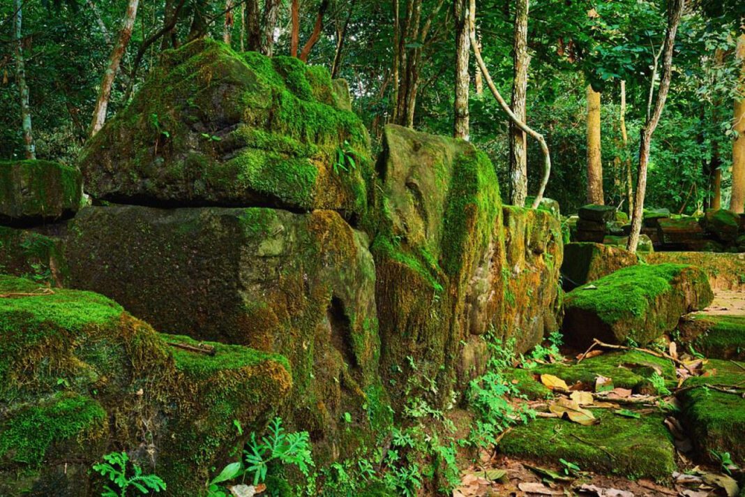 Exploring the Cambodian Buddhist Temple