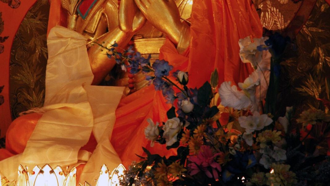 Unlocking Knowledge: A Guide to Davis County Library