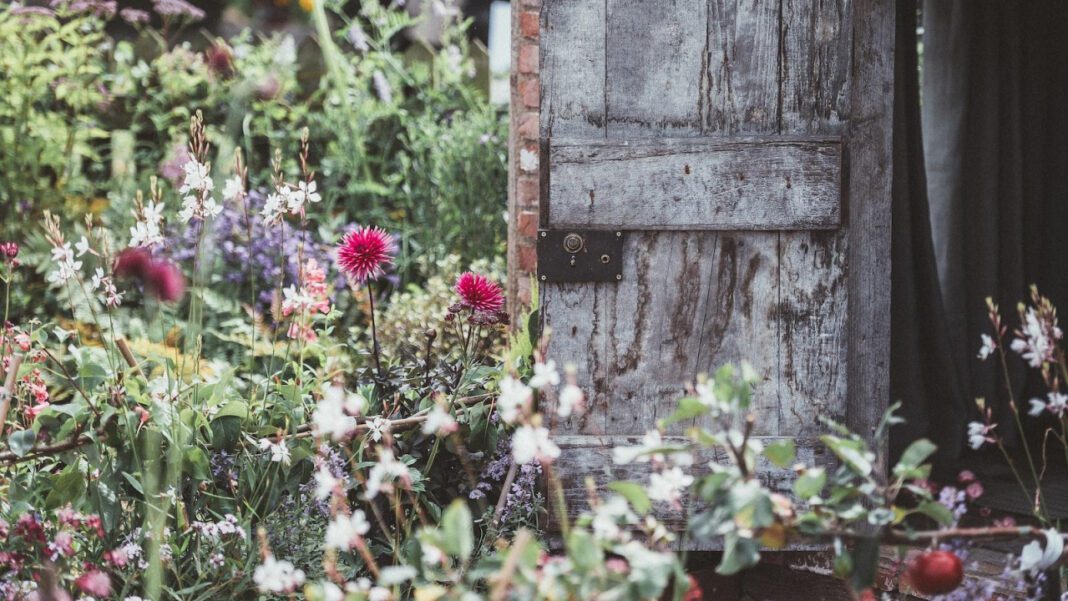 Discover the Enchanted Oasis of Mead Botanical Garden