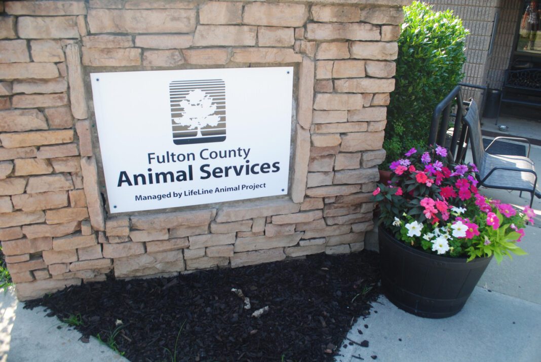 Burke County Animal Services: Your Guide to Pet Care