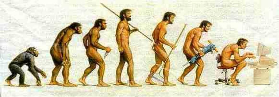The Evolution of Tyes: From Ancient Symbolism to Modern Fashion