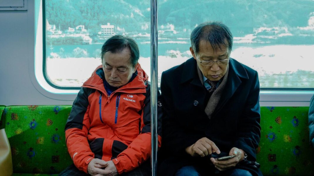 Nami Sister: Exploring the Relationship and Impact of Nami’s Sibling