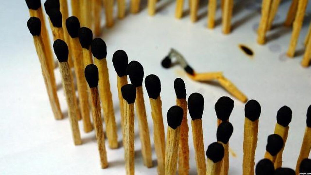 Wichita Falls Humane Society: Providing Care for Animals in Need