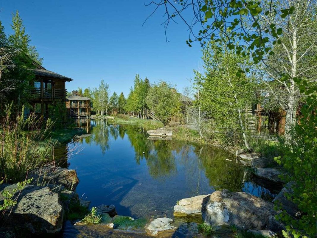 Discover the Magic of Treehouse Wildlife Center