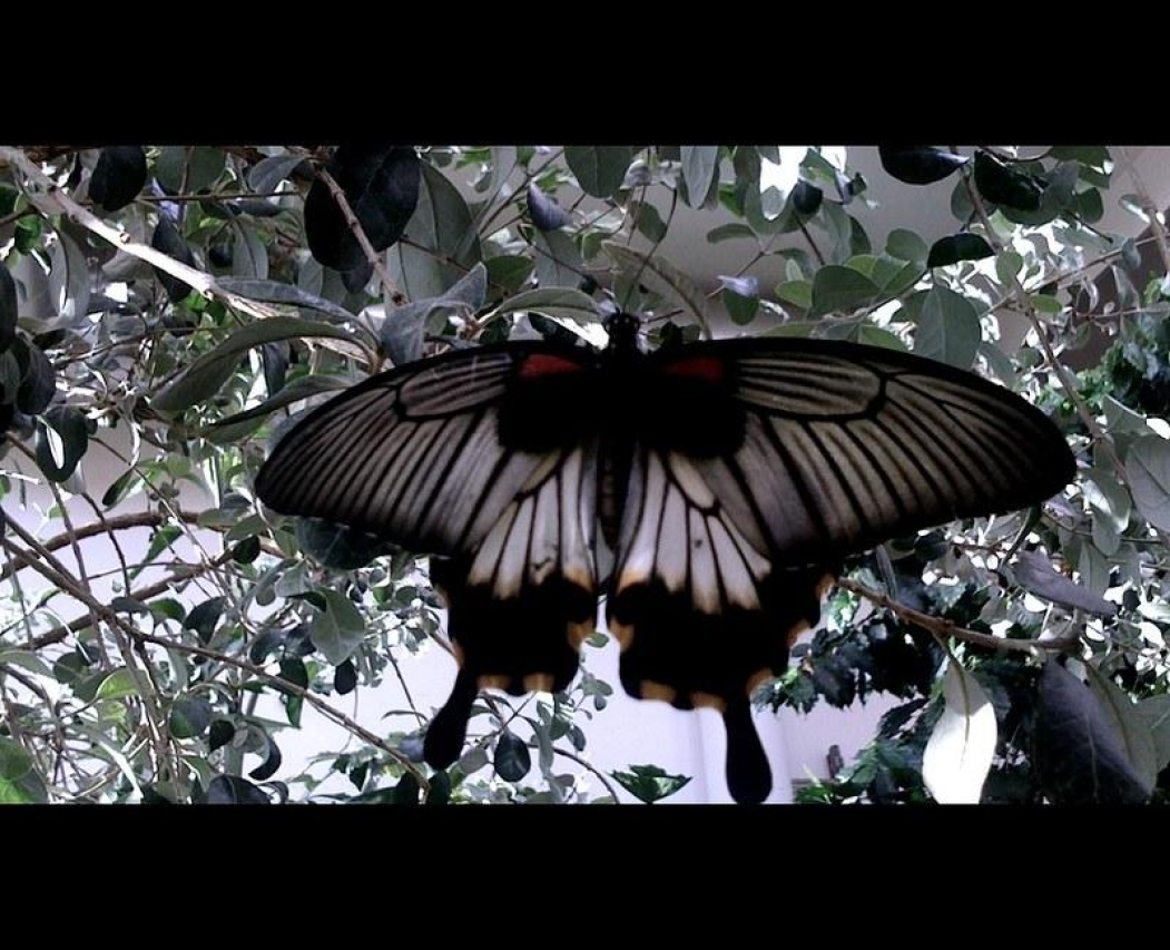 Discover the World of PacSci: Everything You Need to Know