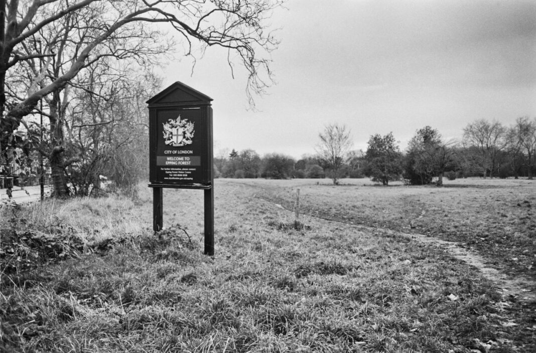 Delta Manor: A Comprehensive Guide to its History