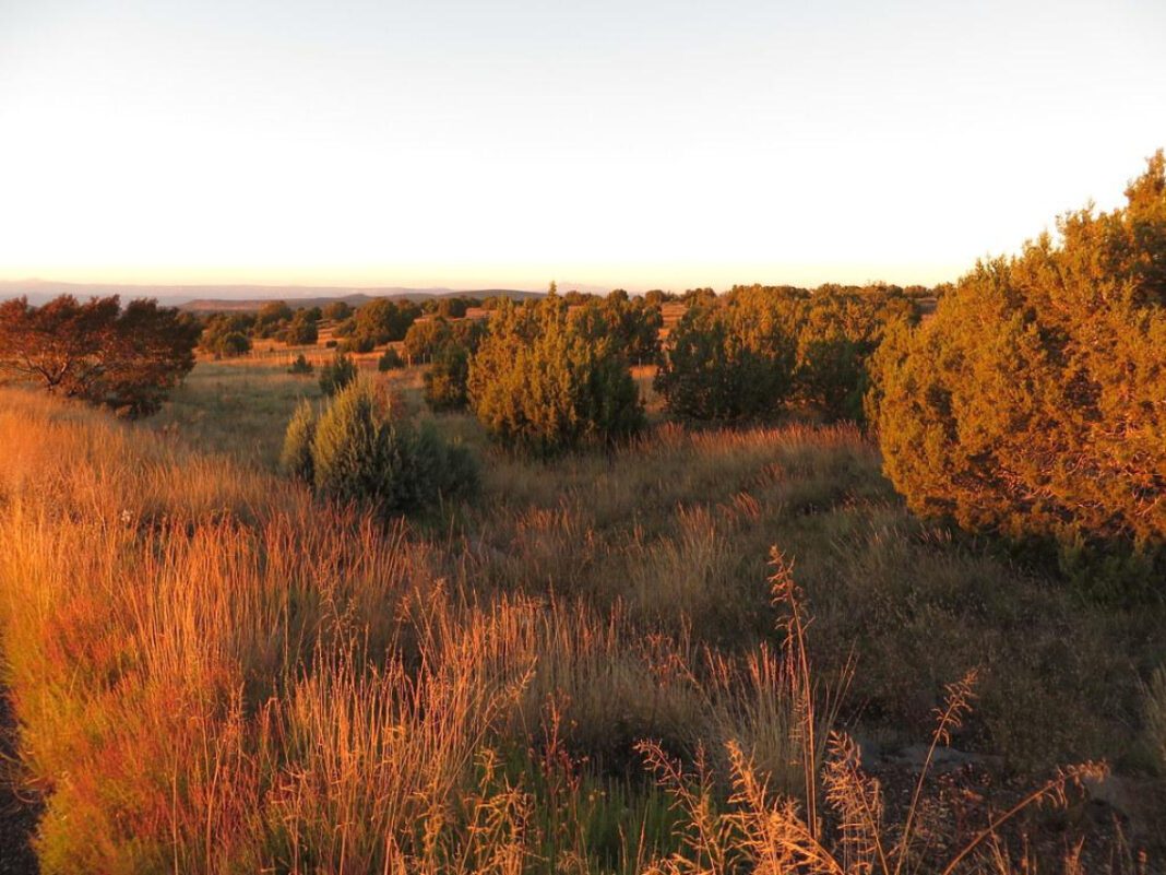 Valley Verde: A Natural Oasis in the Southwest