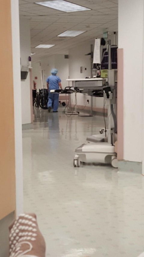 Discovering the Beachwood Community Center