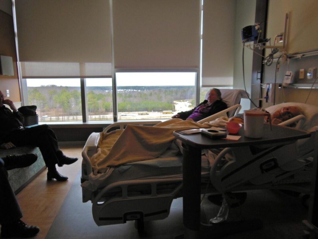 Piedmont Animal Hospital: Exceptional Care for Your Pets