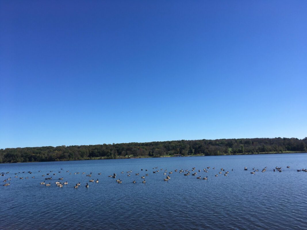 Exploring Peace Valley: A Tranquil Retreat in Nature