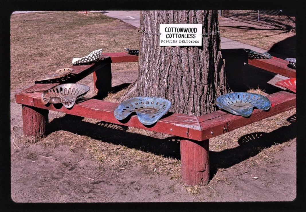 Discover Harold Warp Pioneer Village: History Comes Alive