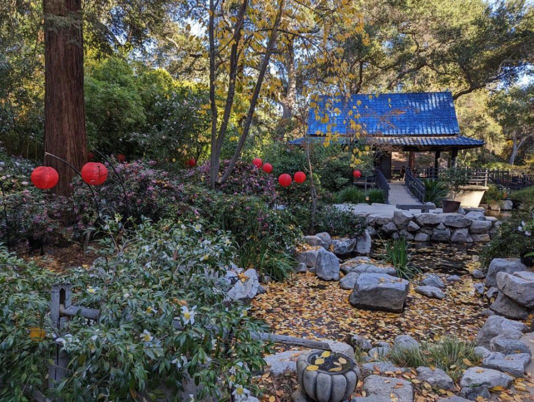 Discover the Enchanted Beauty of Descanso Gardens!