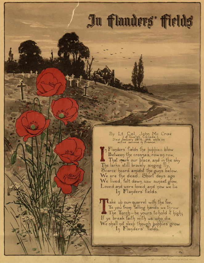 Flanders Field: A Moving WWI Memorial Site