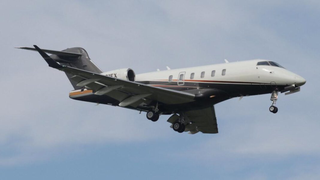 Unlock CT Business Insights: Perfect Entity Search!