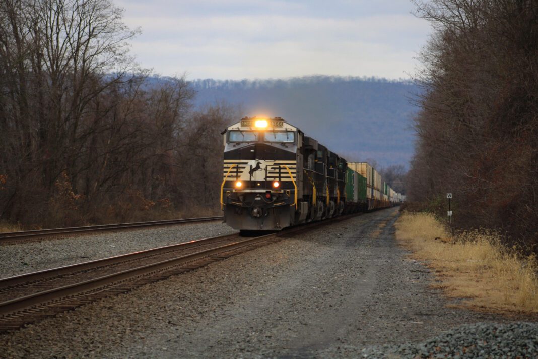 Saving Lives: Pittsburgh’s Animal Rescue League